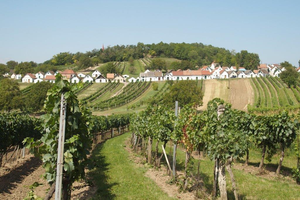 Gaestehaus Weinviertel - Niederoesterreich Siebenhirten Eksteriør billede